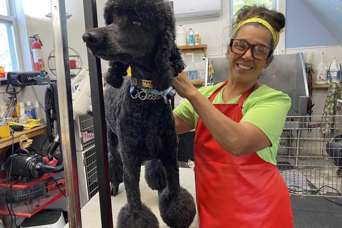 A gentle touch at Rosie’s Grooming