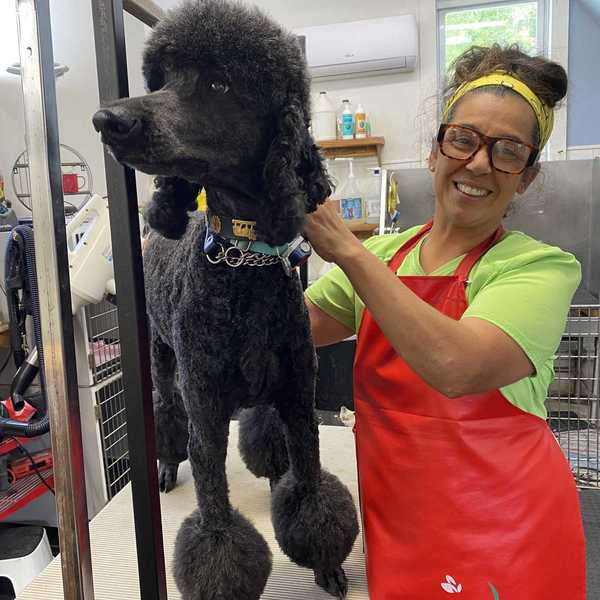 A gentle touch at Rosie’s Grooming