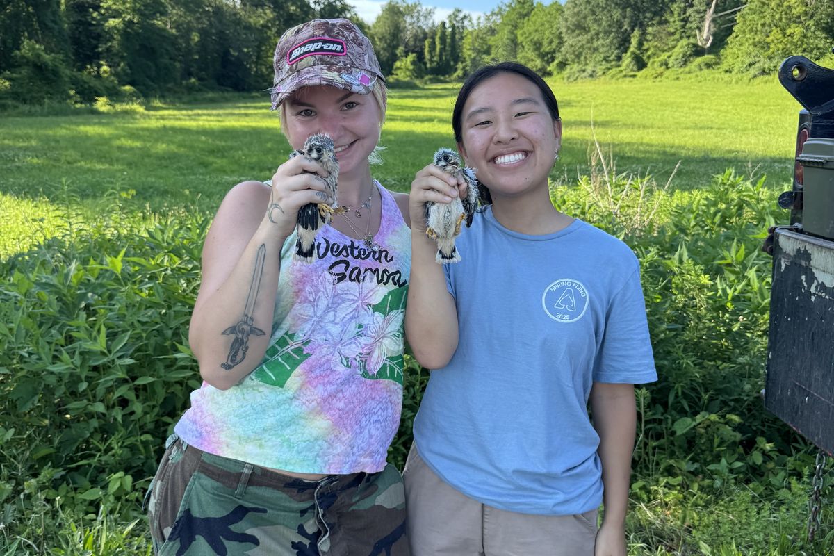 Audubon internship welcomes young adults as wildlife conservationists