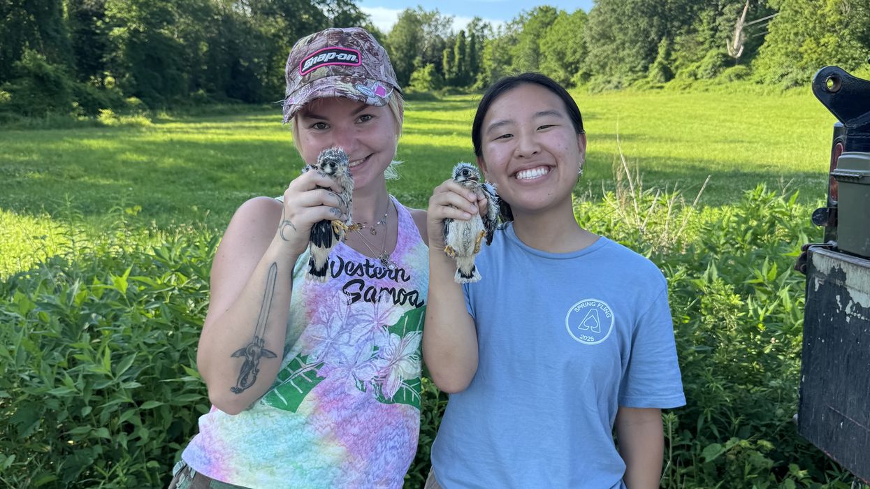 Audubon internship welcomes young adults as wildlife conservationists