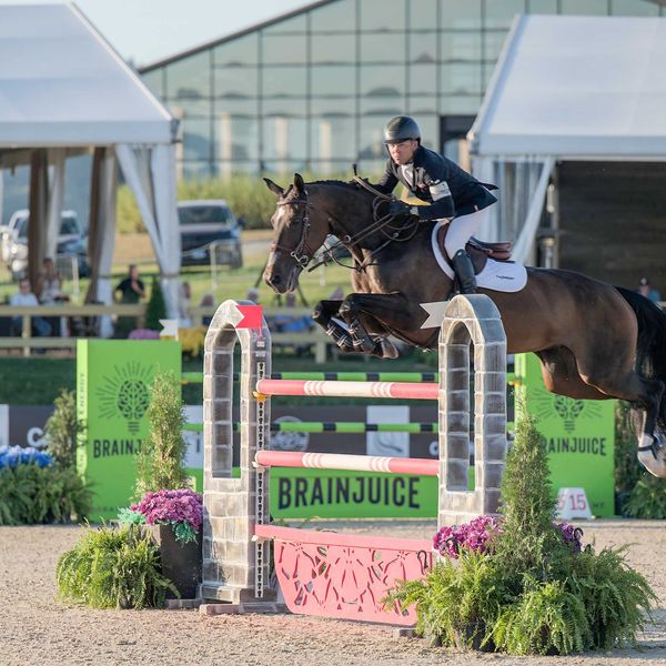 Jumping competition brings top equestrians to Amenia
