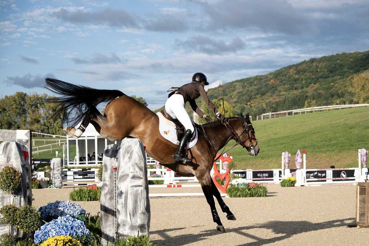Showjumping competition returns to Amenia for third year