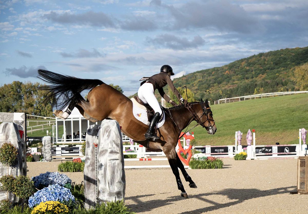 Showjumping competition returns to Amenia for third year