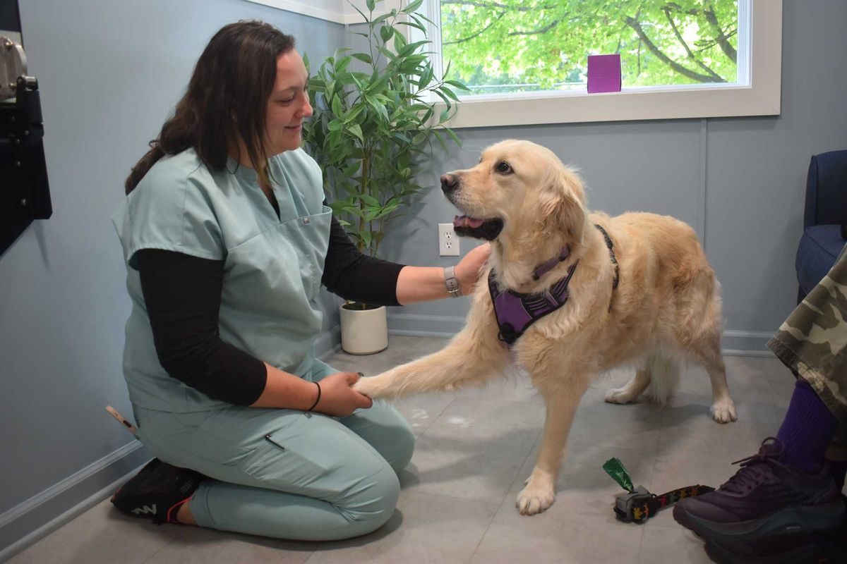 Independent care at Copake Veterinary Hospital