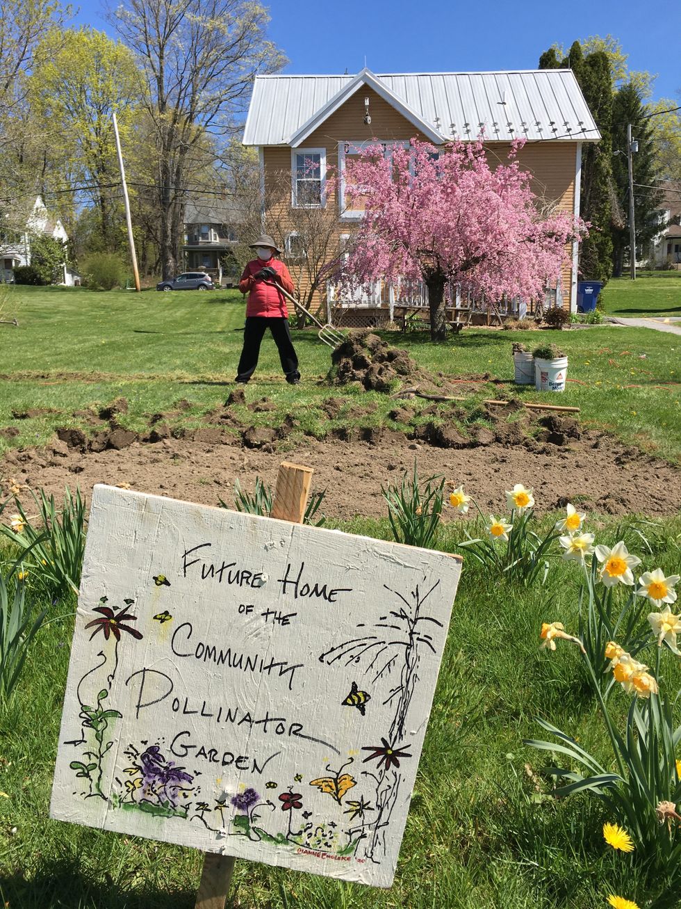 Pollinator garden to provide safe space for the birds, the bees and the butterflies