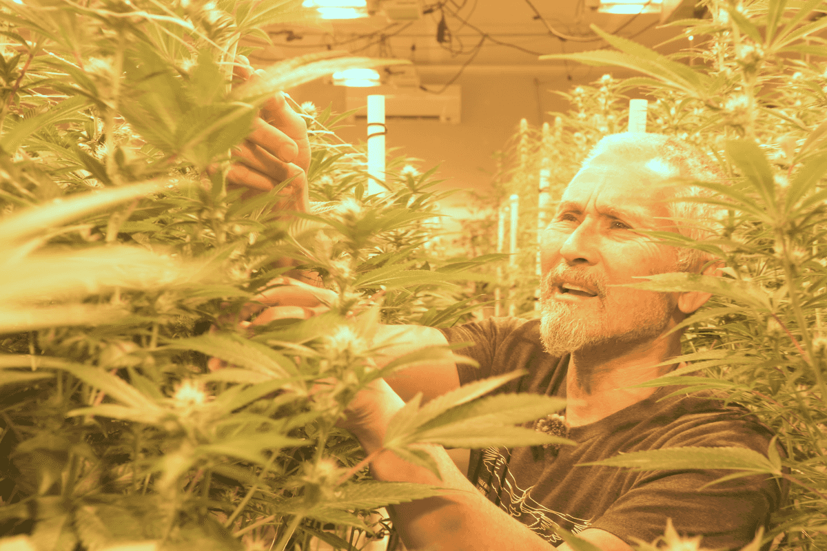 Cannabis dispensary faces uncertain timeline as grower navigates OCM red tape
