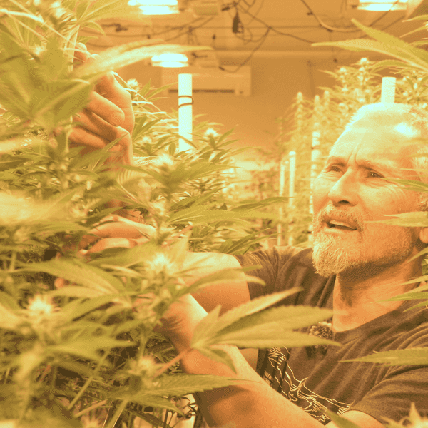 Cannabis dispensary faces uncertain timeline as grower navigates OCM red tape