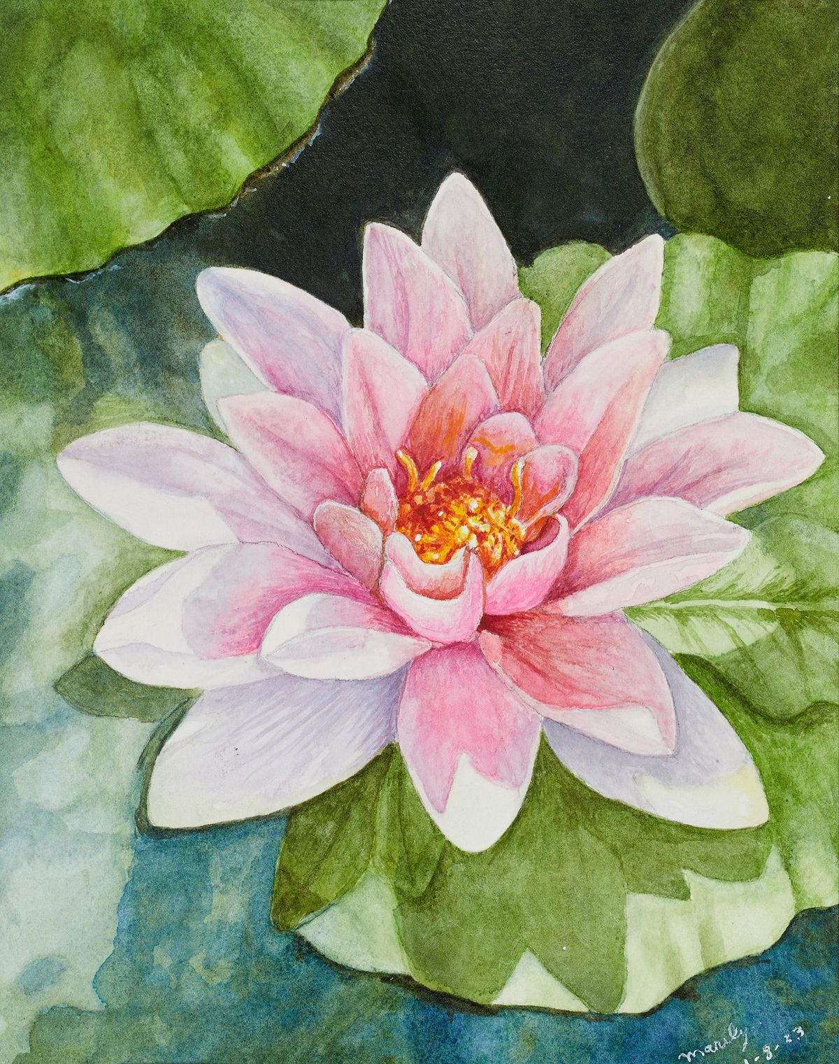 The art of Marilyn Hock