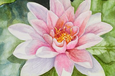 The art of Marilyn Hock