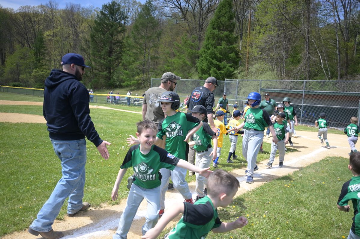 Little League game day