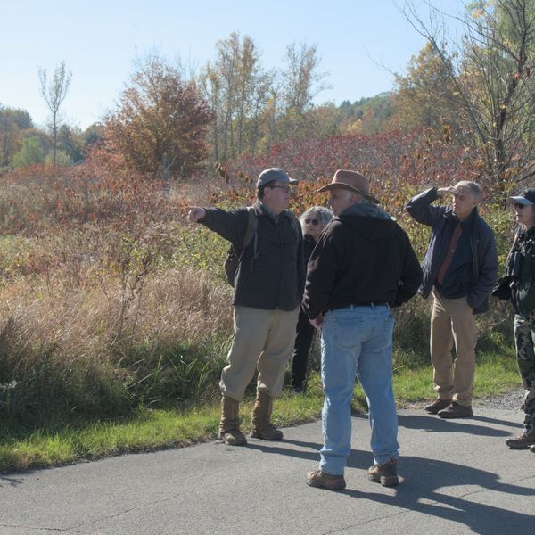 Nature’s engineers: How beavers alter ecology