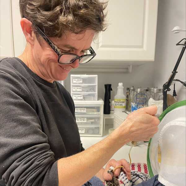 Audubon’s efforts give injured animals new hope